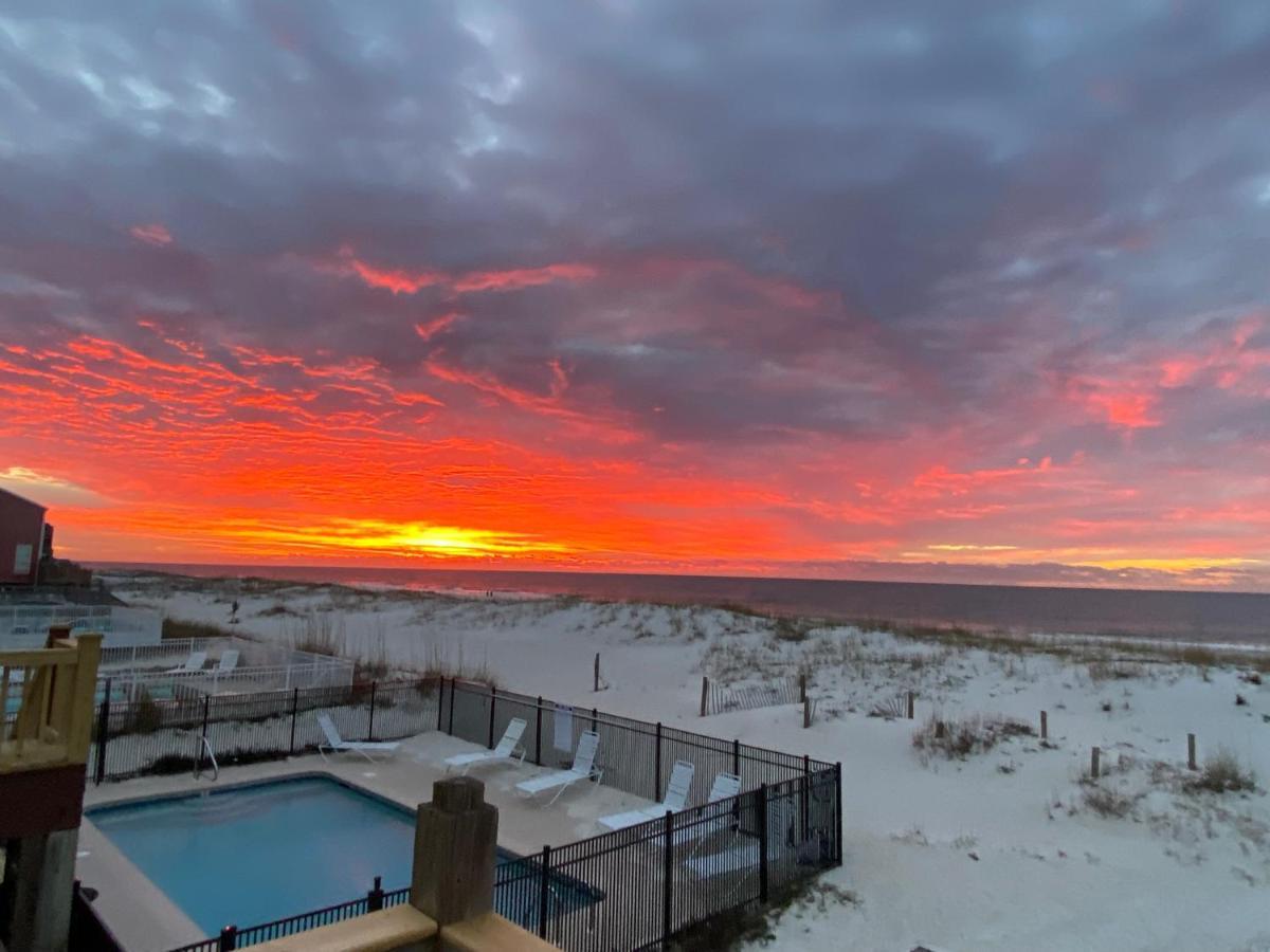 Blue Parrot Βίλα Gulf Shores Εξωτερικό φωτογραφία